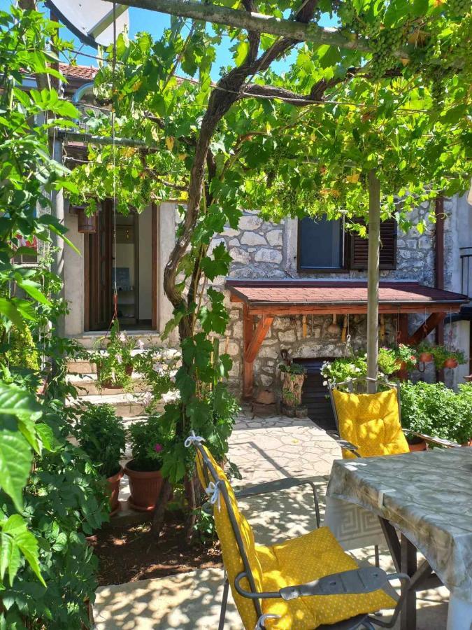 Country house Aleksa