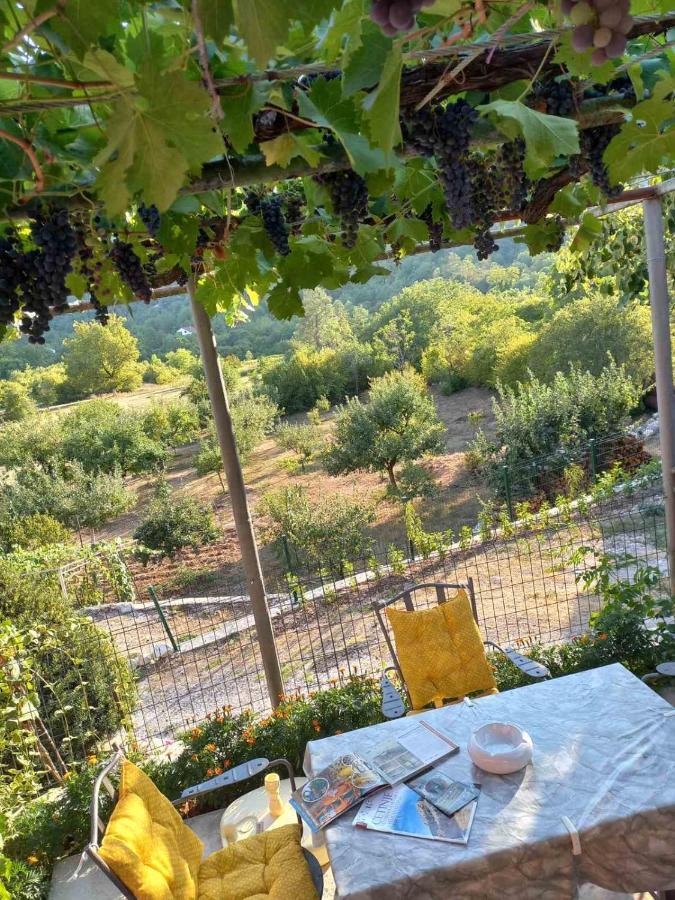 Country house Aleksa *