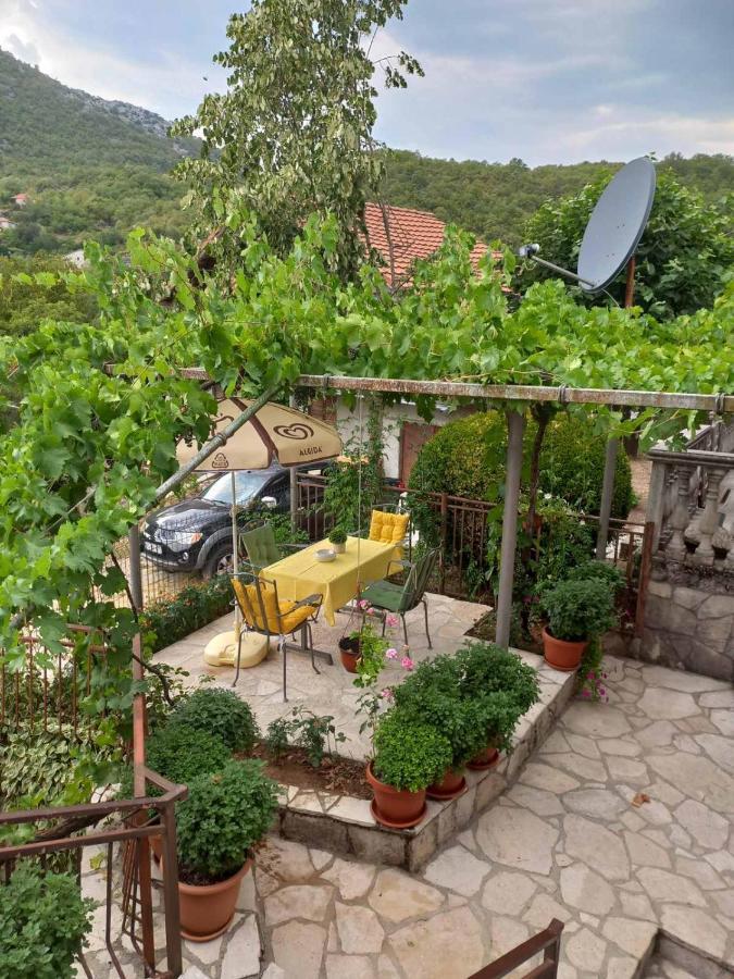 Country house Aleksa Cetinje