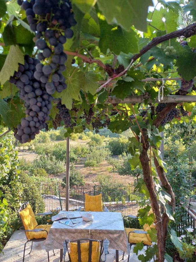 Aleksa Country house Cetinje